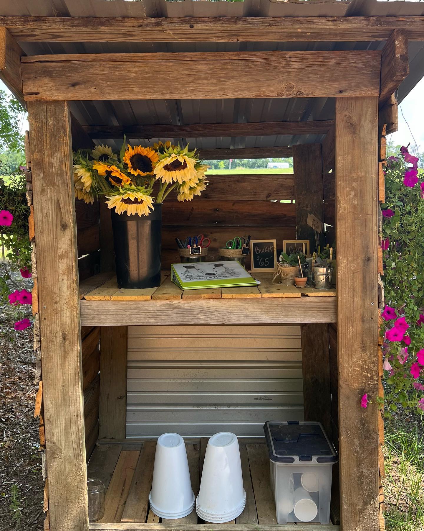 U-Pick Pay Booth Honor System Gibson, GA