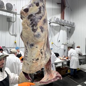 1/2 Grass Fed, Grass Finished Beef